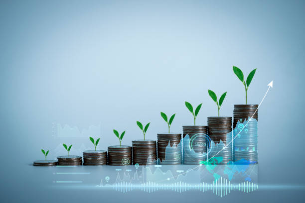 Fixed Deposit Receipt (FDR)